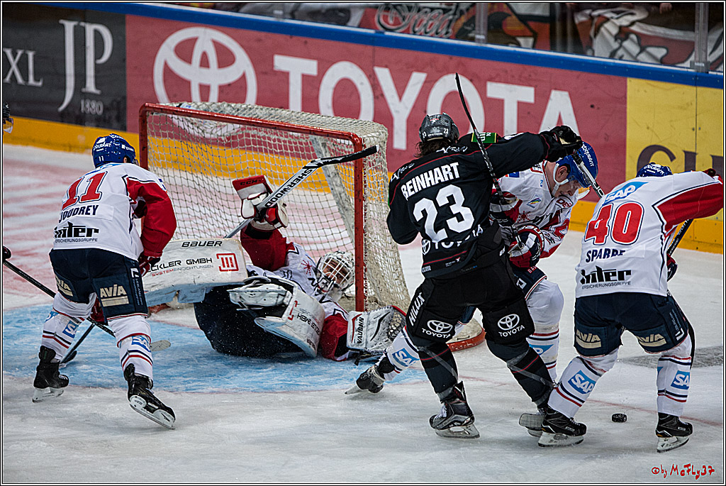 DEL, Koelner Haie - Adler Mannheim, 05.02.2017